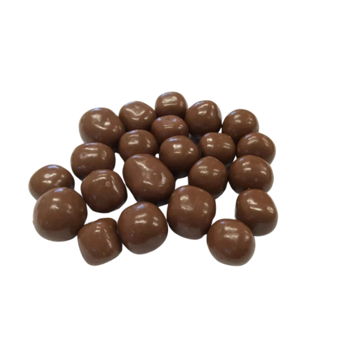 Carol Anne Chocolate Covered Sea Salt & Caramel Fudge