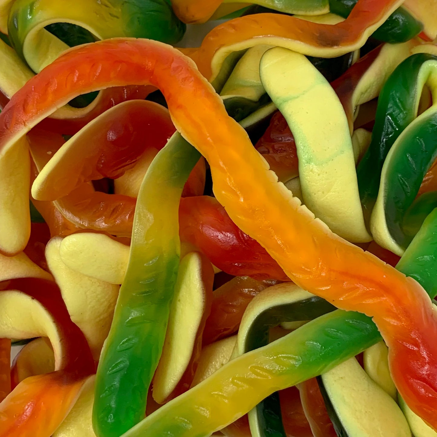 Giant Snakes