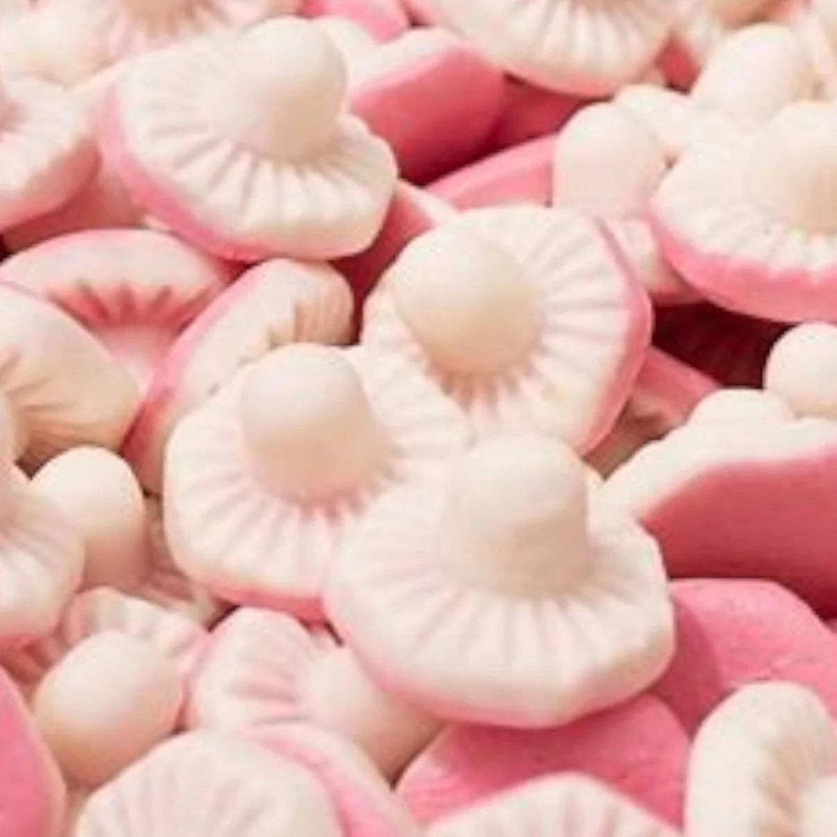 Pink Mushrooms