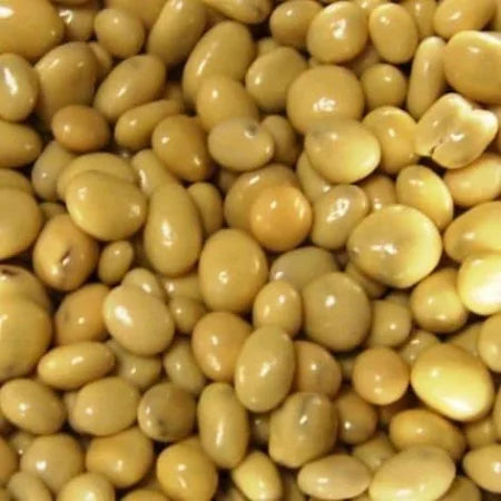 Carol Anne Caramel Covered Raisins